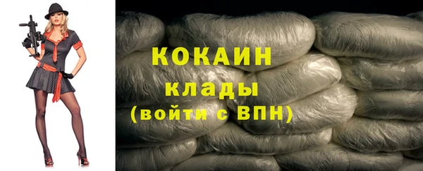 мдпв Магас