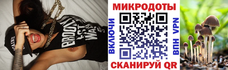 Псилоцибиновые грибы Cubensis  купить   Усть-Кут 